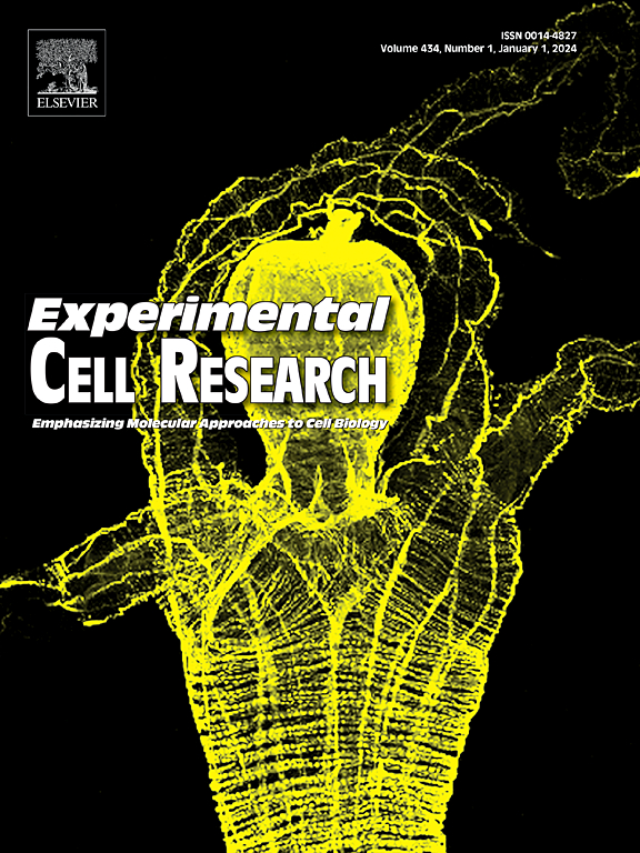 Go to journal home page - Experimental Cell Research
